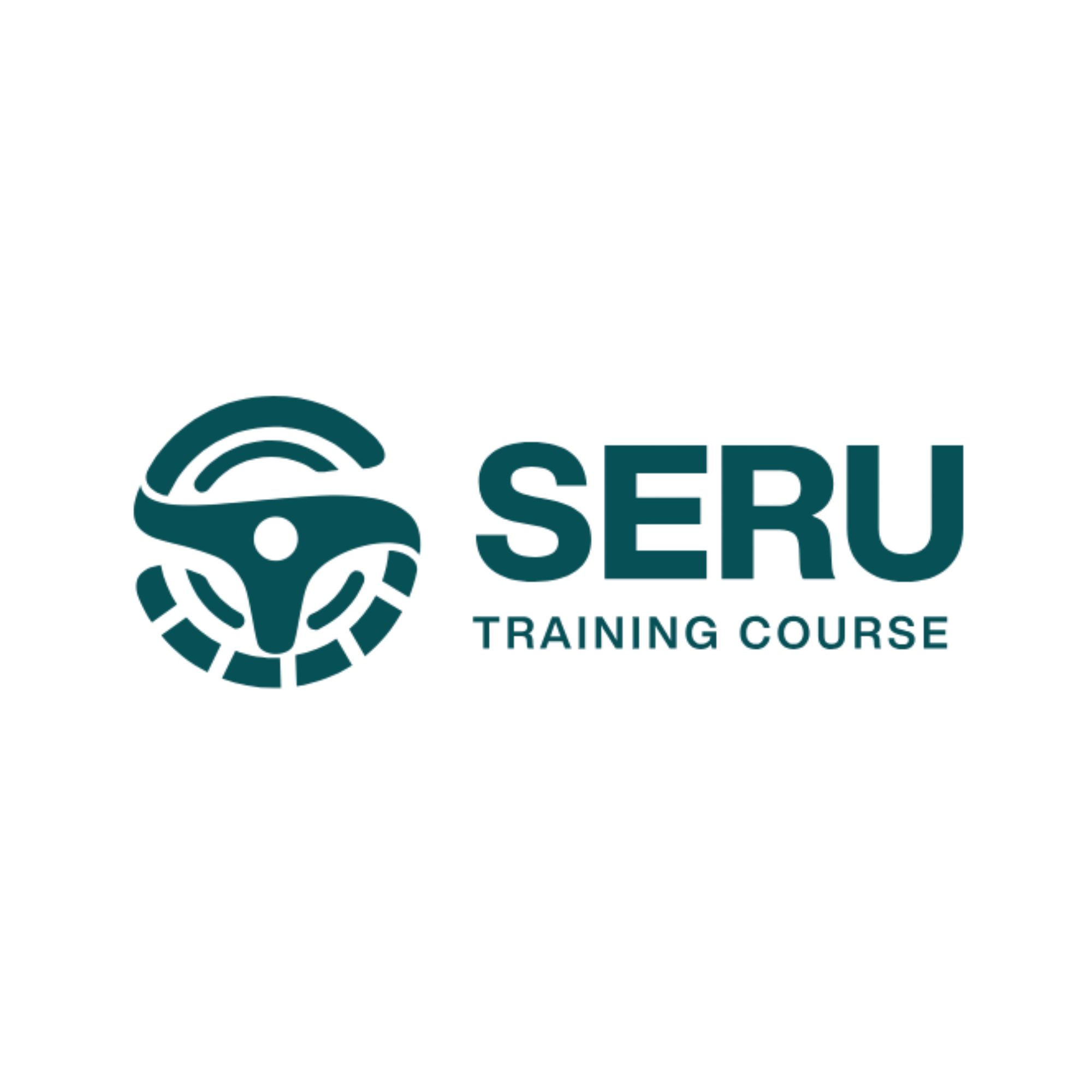 Seru Training Course on Softmation